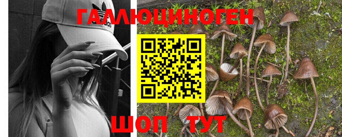 Галлюциногенные грибы мухоморы Заречный