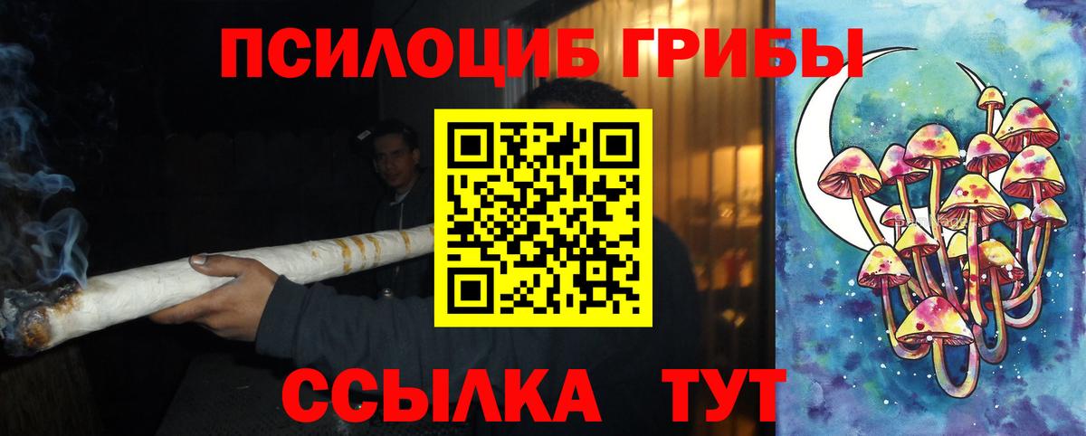 Заречный  купить наркотик  Вход с VPN  Галлюциногенные грибы Cubensis 